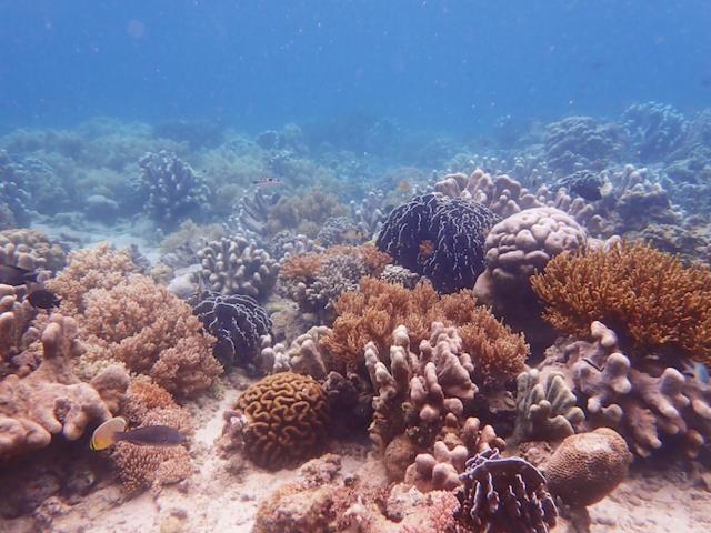 Nomad Divers Bangka Likupang Екстер'єр фото